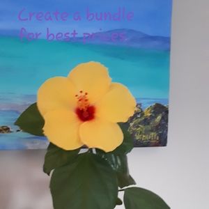 Bundle for Best Prices!